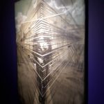 14716092_10153956129752304_5121021881677453195_n