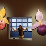 14741801_10153956711162304_2065955433_n