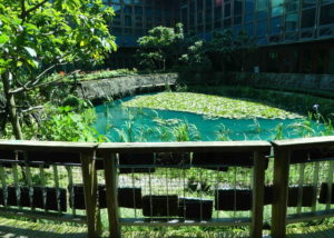 fun things to do off Taipei's MRT Red Line by station. Taiwan.