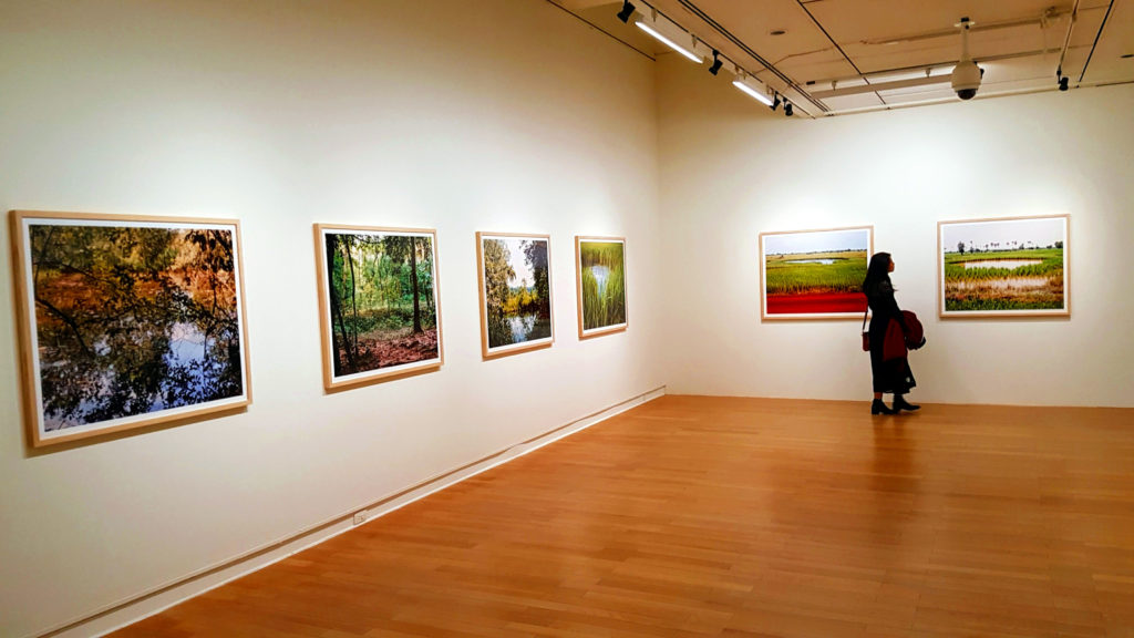 Taipei Fine Arts Museum photo gallery 