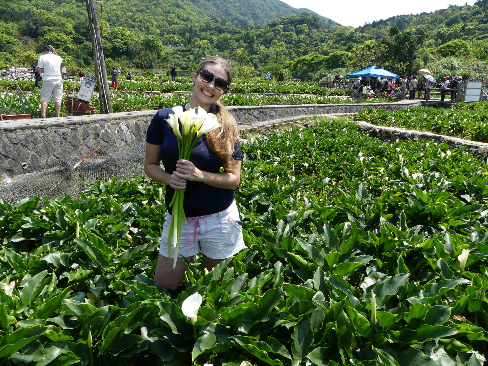 May Day in Taiwan with Calla Lillies