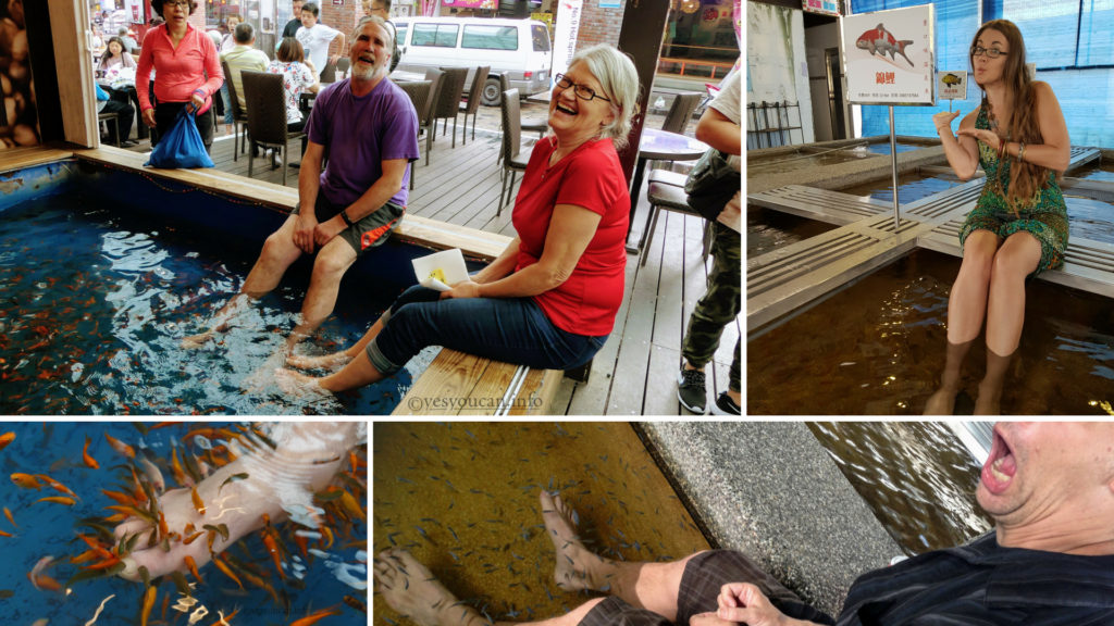 礁溪, Taipei Daytrip, Yilan county, Taiwan, Jiaoxi, hotsprings, waterfall, footbath, Dr. Fish, water massage,